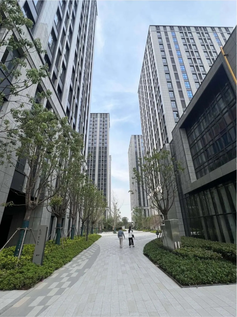 mmexport1757147726853.jpg mmexport1757147726853.jpg